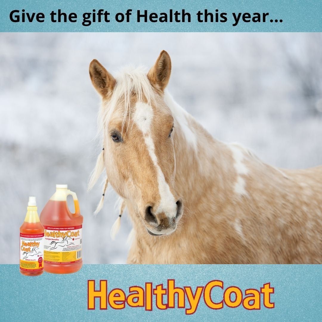 HealthyCoat Liquid Feed Supplement for Your Horses Hedwig, TX St