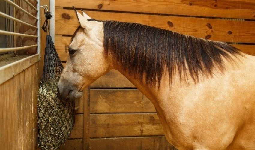 Estimating Winter Hay Needs