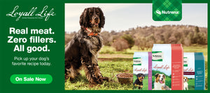 Advertisement for Loyall Life Super Premium Pet Food by Nutrena, featuring a dog sitting on grass next to a bowl of food, with various dog food bags displayed. The text reads: 'Real meat. Zero fillers. All good. Pick up your dog’s favorite recipe today. On Sale Now.