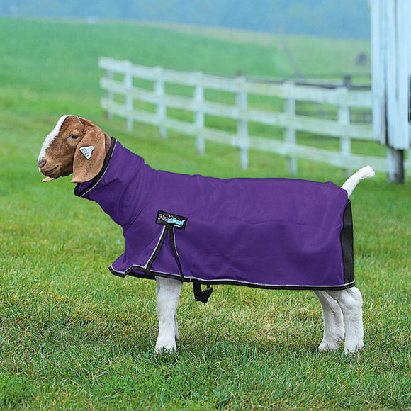 Weaver Leather ProCool™ Goat Blanket with Reflective Piping, Mesh Butt