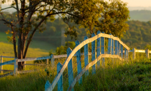 A weathered white wooden fence runs along a sunlit, grassy hill, with a tall tree and rolling green hills in the background, evoking a serene, rural atmosphere.