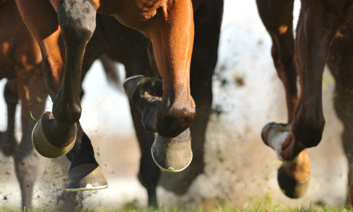 Close-up of galloping horse hooves, kicking up dirt and grass, conveying speed and power. The focus is on the motion and energy of the race.