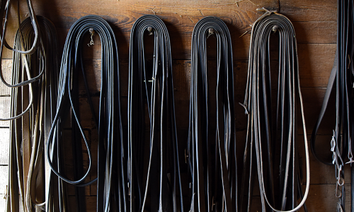 Hanging leather belts in rich brown tones on a wooden wall, conveying a rustic, organized atmosphere, with textured wood grains visible.