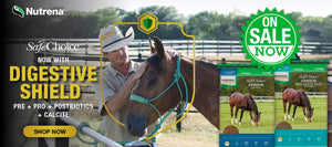 Nutrena SafeChoice Senior horse feed, now with Digestive Shield™ featuring prebiotics, probiotics, postbiotics, and calcite. On sale now. Image shows a man in a cowboy hat petting a horse, with product bags displayed in the foreground.