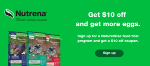 Nutrena NatureWise chicken feed promotion offering $10 off. Image features NatureWise Feather Fixer and Layer Feed bags with a sign-up offer for a trial program to get a $10 off coupon. The background is green, with chickens and eggs depicted on the feed bags.