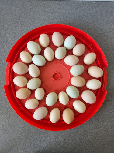 Rugged Ranch Rugg'EGG' Ranch 30 Egg Incubator RED (16 x 16 x 3.5)