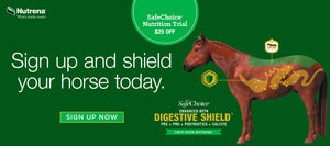 Nutrena advertisement promoting the SafeChoice Nutrition Trial with $25 off. The ad features an image of a horse with highlighted digestive areas, indicating the benefits of Digestive Shield which includes prebiotics, probiotics, postbiotics, and calcite. The text reads, 'Sign up and shield your horse today.' A 'Sign Up Now' button is also included.