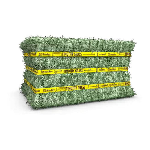 Standlee Premium Western Forage Certified Timothy Grass Compressed Bales