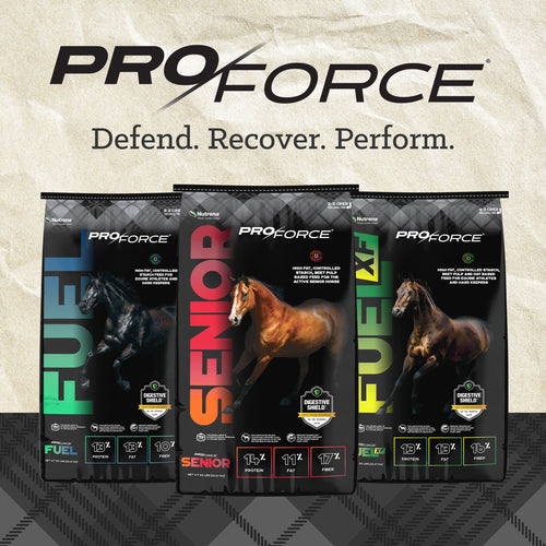 Nutrena® ProForce® Senior Horse Feed