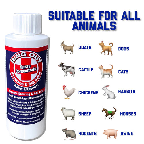 Pingworm Spray FlexTran Ring Out Concentrate Spray For Ringworm Control. Works on All ...