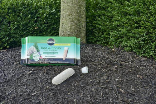 fertilizer spikes for plants Miracle-Gro® Tree & Shrub Plant Food Spikes - Hedwig, TX